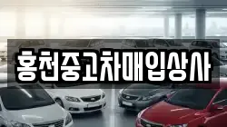 홍천중고차매입상사