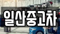 일산중고차