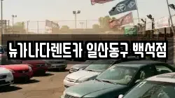 뉴가나다렌트카 일산동구 백석점