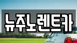 뉴주노렌트카
