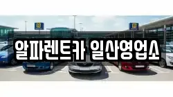 알파렌트카 일산영업소