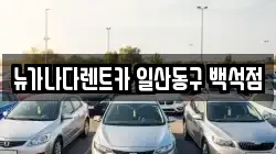 뉴가나다렌트카 일산동구 백석점