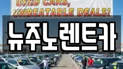 뉴주노렌트카