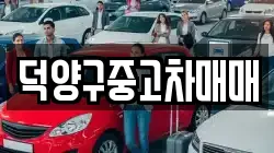 덕양구중고차매매