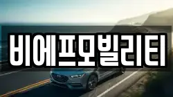 비에프모빌리티