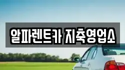 알파렌트카 지축영업소