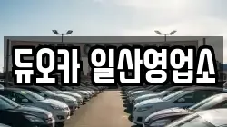듀오카 일산영업소