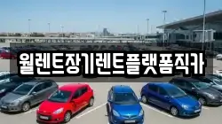 경기도 고양시 덕양구 벽제동 렌트카,단기렌트카,장기렌트카,중고차,중고차매매,중고차매입