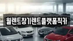 월렌트장기렌트플랫폼직카