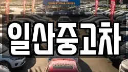 일산중고차