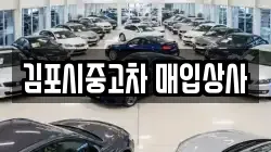 김포시중고차 매입상사