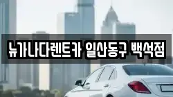 뉴가나다렌트카 일산동구 백석점