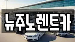뉴주노렌트카