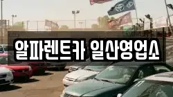알파렌트카 일산영업소