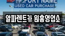 알파렌트카 원흥영업소