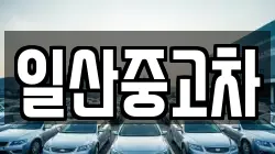 일산중고차