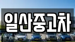 일산중고차