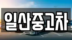 일산중고차