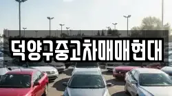 덕양구중고차매매현대