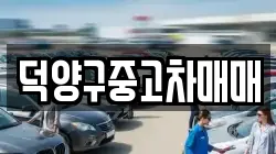 덕양구중고차매매