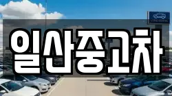 일산중고차