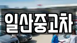 일산중고차