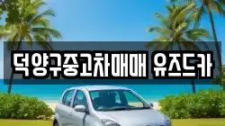 덕양구중고차매매 유즈드카