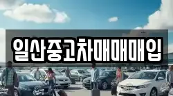 일산중고차매매매입