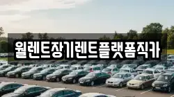 경기도 고양시 덕양구 효자동 렌트카,단기렌트카,장기렌트카,중고차,중고차매매,중고차매입