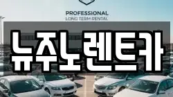 뉴주노렌트카