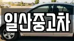 일산중고차