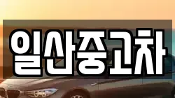 일산중고차