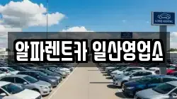 경기도 고양시 일산동구 백석동 렌트카,단기렌트카,장기렌트카,중고차,중고차매매,중고차매입