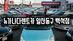 뉴가나다렌트카 일산동구 백석점