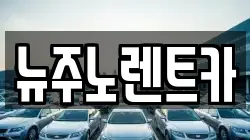 뉴주노렌트카