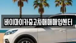 바이마이카중고차매매매입센터