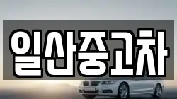 일산중고차