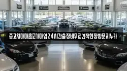 중고차매매최고가매입24시간출장비무료견적현장방문지누카