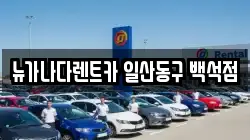 뉴가나다렌트카 일산동구 백석점