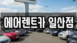 경기도 고양시 일산동구 장항동 렌트카,단기렌트카,장기렌트카,중고차,중고차매매,중고차매입