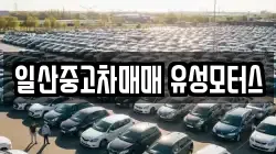 일산중고차매매 유성모터스