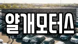 얄개모터스