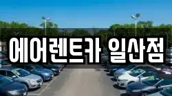 경기도 고양시 일산동구 정발산동 렌트카,단기렌트카,장기렌트카,중고차,중고차매매,중고차매입