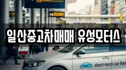 일산중고차매매 유성모터스