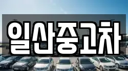 일산중고차
