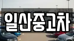일산중고차