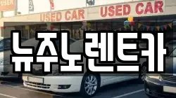 뉴주노렌트카