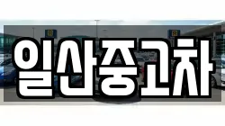 일산중고차