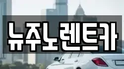 뉴주노렌트카