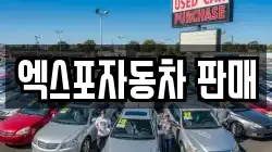 엑스포자동차 판매